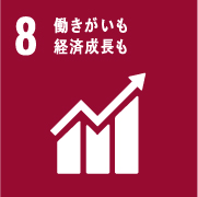SDG 8